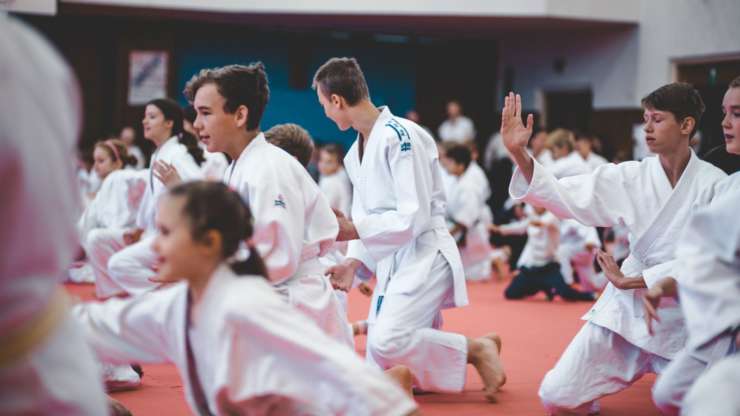 International aikido seminar for children