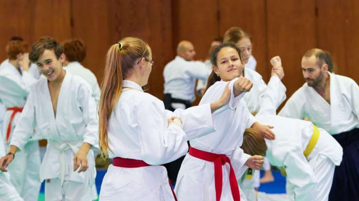 POSTPONED: Aiki4kids – International Aikido Seminar for Children & Youth